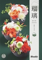AY[CN20900~R[X