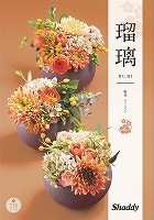 AY[CN4510~R[X
