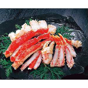 y/z{C΂ɂ̃r[hJbgiVOOj