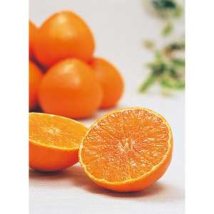 y/zQY@܂ǂȁiQjiQʎQWj