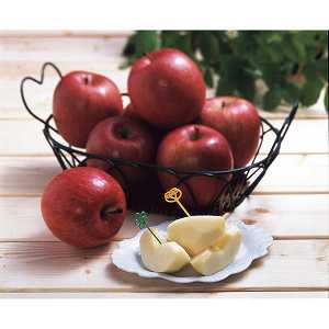 y/zXY@xPSxȏTӂ@iQDTj