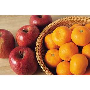 y/zLc݂EMBTӂ񂲁EEtXl