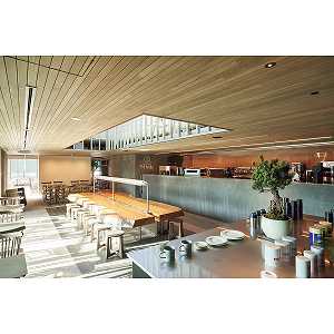 yzcF@hbvobOR[q[MtgiPT܁j