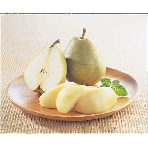 y/zコ̑ʒI胉EtX@RiU`Xʁj