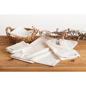 �y���������z�I�[�K�j�b�N�R�b�g���g�p�@�����Y�@�o�X�E�t�F�C�X�E�E�H�b�V���^�I���Z�b�g