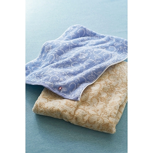 ���������@�t�F�C�X�^�I���i�ؔ����j