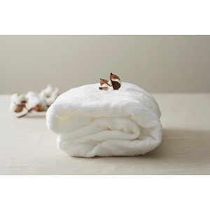 �A�����N���V�b�N�@�o�X�E�t�F�C�X�^�I���Z�b�g