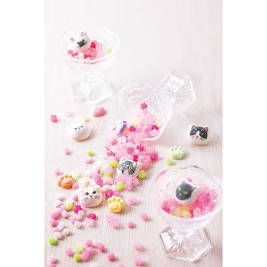 �t���������������@���������@�����l�Ƌ������ƃn���J�`