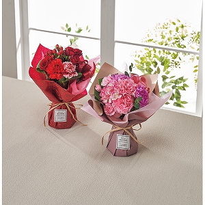 �y��������/�����z�X�^���f�B���O�u�[�P