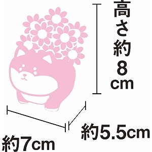 �A�j�}���v���U�i�v���U�[�u�h�t�����[�j