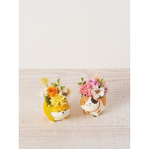 �A�j�}���v���U�i�v���U�[�u�h�t�����[�j