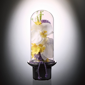 �y���������z�v���}�@�K���X�h�[���̋��ԁ@�Ӓ����i���ԁj