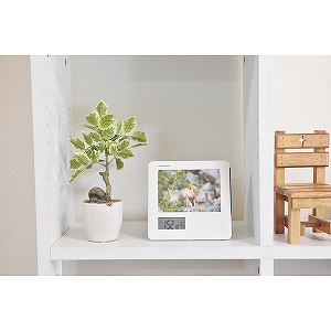 �A�f�b�\�@�t�H�g�t���[���d�g���v