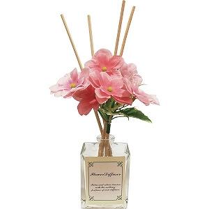 �n�C�h�����W�A�f�B�t���[�U�[