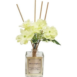 �n�C�h�����W�A�f�B�t���[�U�[