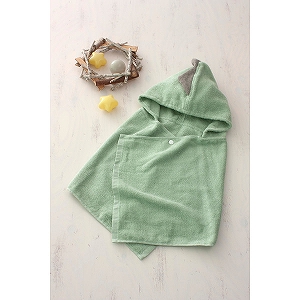 �����������|����ہ|�@�I�[�K�j�b�N�o�X�|���`��