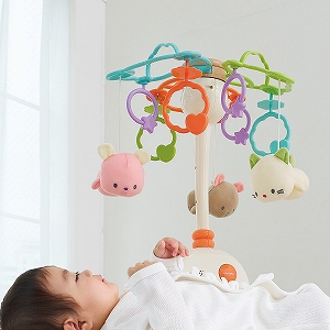 �y���������z�₷�炬�ӂ�ӂ�R�v�`�x�����[