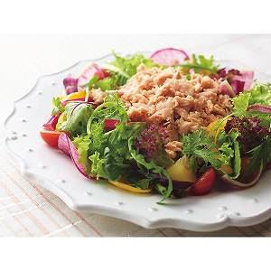 �͂�����@�V�[�`�L���r���������@�}�C���h�T�O���i�P�Q�܁j