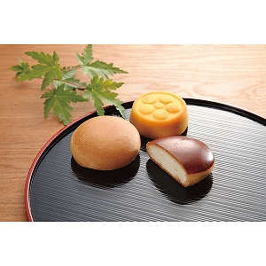 �͓��x�͉��@���ِ�