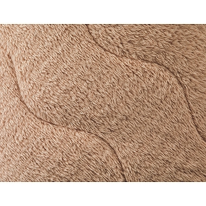 �y���������z�z�����M�@�V�[�v���{�A�~�p�b�g