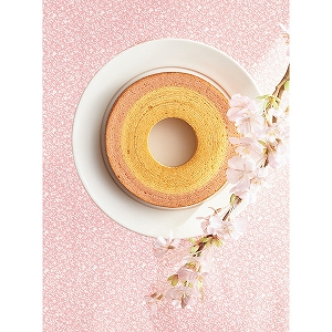 �o�[���N�[�w���i��������j