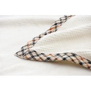 �_�b�N�X�@�Ȗѕz�i�щH�����j